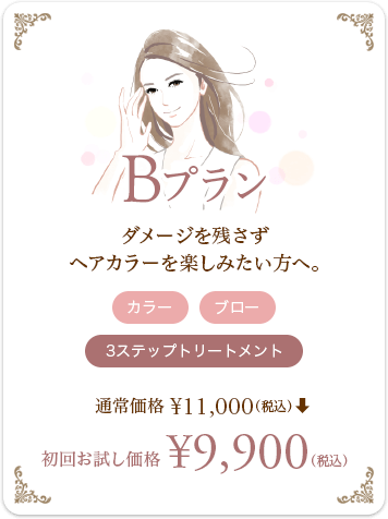 Bプラン - ダメージを残さずヘアカラーを楽しみたい方へ。