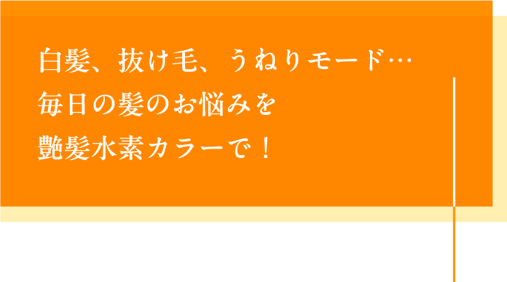 白髪、抜け毛、うねりモード…毎日の髪のお悩みを艶髪水素カラーで！